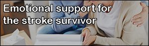 Emotional support for the stroke survivor